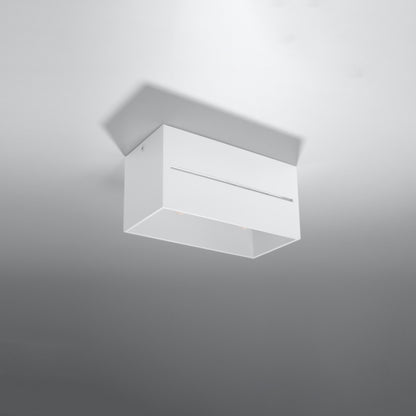 Потолочный светильник LOBO 2 белый